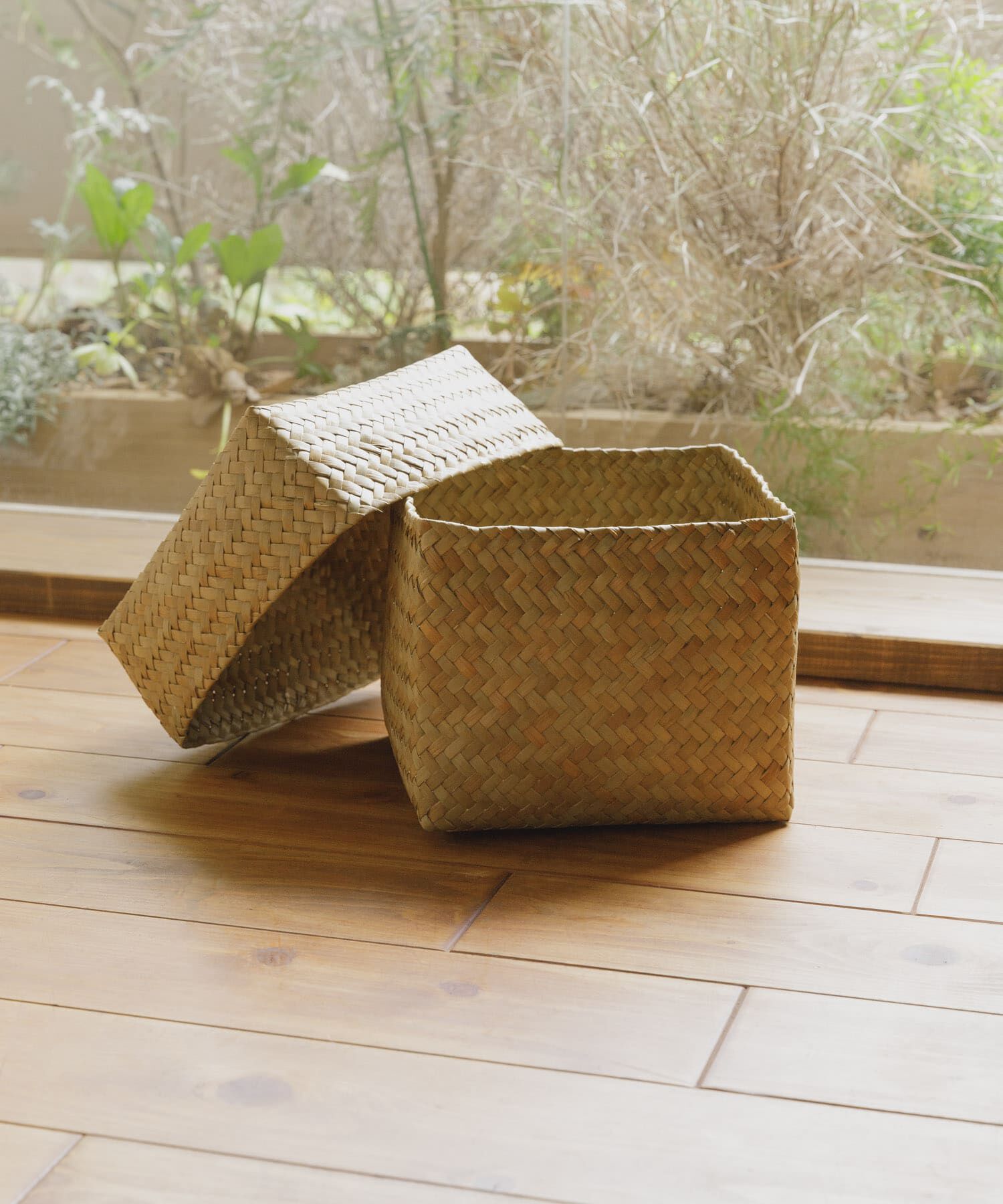 URBAN RESEARCH DOORS「『WEB限定』サイアム　カチュー水草ふた付き四角BOX M」|その他|