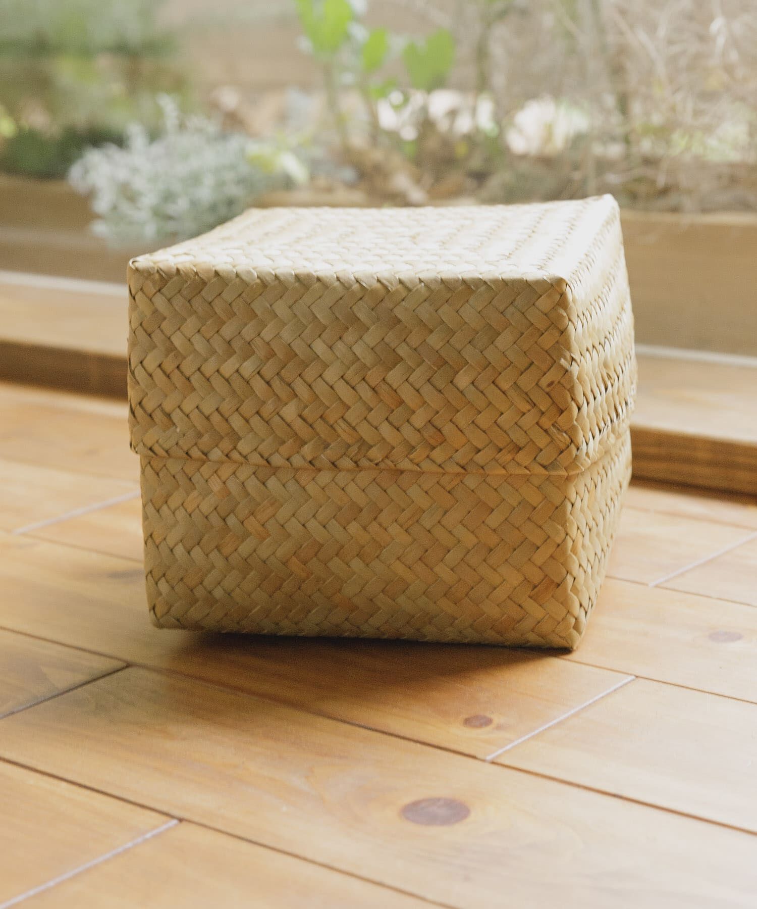 URBAN RESEARCH DOORS「『WEB限定』サイアム　カチュー水草ふた付き四角BOX M」|その他|