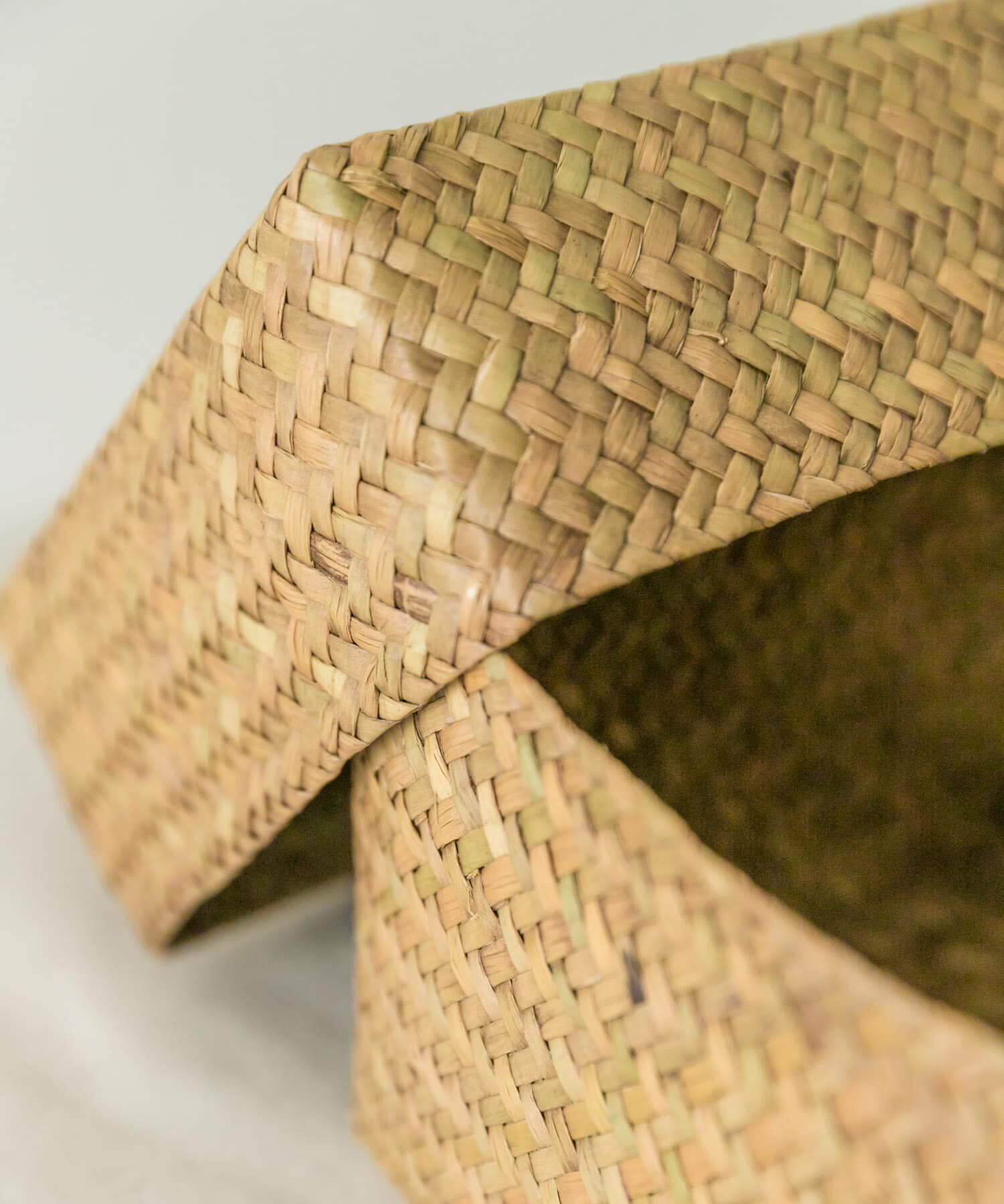 URBAN RESEARCH DOORS「『WEB限定』サイアム　カチュー水草ふた付き四角BOX M」|その他|