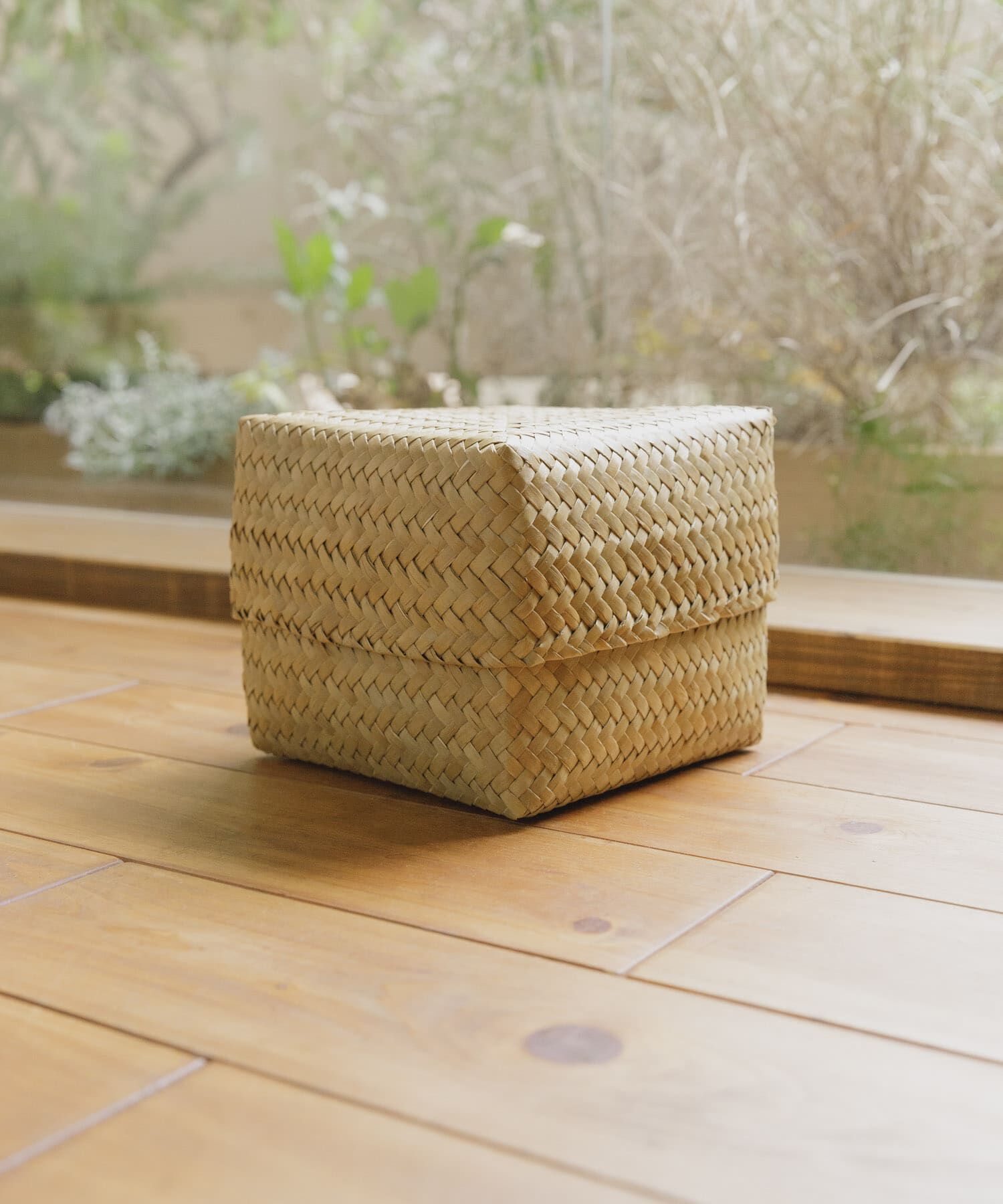 URBAN RESEARCH DOORS「『WEB限定』サイアム　カチュー水草ふた付き四角BOX S」|その他|