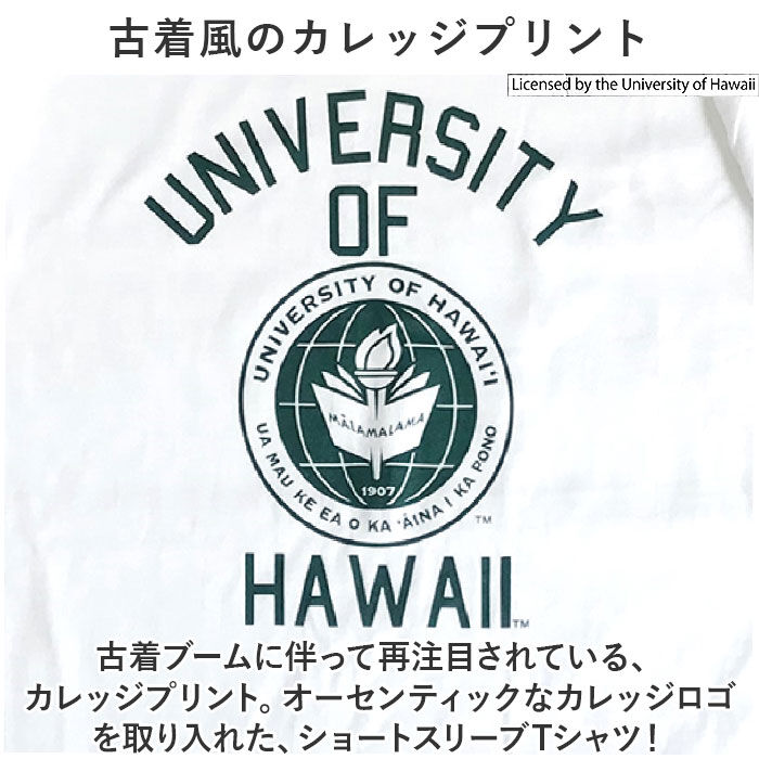 BACKYARD FAMILY「半袖 tシャツ メンズ 通販 Tシャツ ティーシャツ クルーネック 丸首 半袖Tシャツ カットソー」|Tシャツ・カットソー|