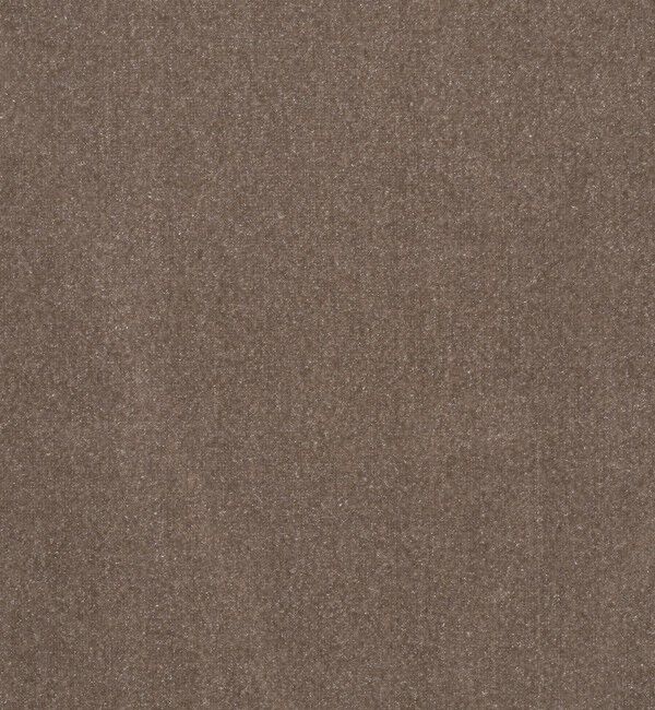 BEAUTY&YOUTH UNITED ARROWS「シアーベロア リンガーロングスリーブTシャツ」|Tシャツ・カットソー|