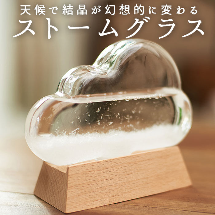 BACKYARD FAMILY「ストームグラス クラウド 通販 ガラス 雑貨 気象計 天気 おしゃれ サイエンス 科学 結晶」|その他|