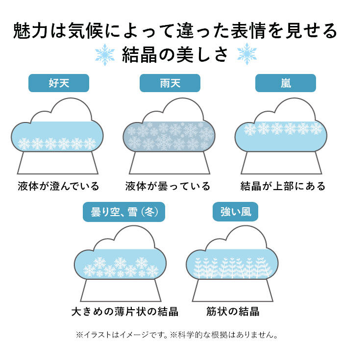 BACKYARD FAMILY「ストームグラス クラウド 通販 ガラス 雑貨 気象計 天気 おしゃれ サイエンス 科学 結晶」|その他|