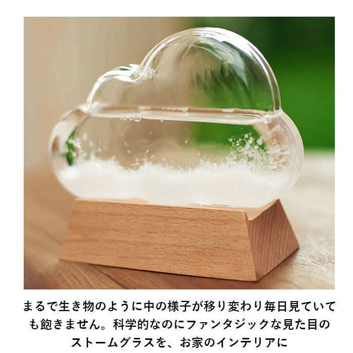 BACKYARD FAMILY「ストームグラス クラウド 通販 ガラス 雑貨 気象計 天気 おしゃれ サイエンス 科学 結晶」|その他|