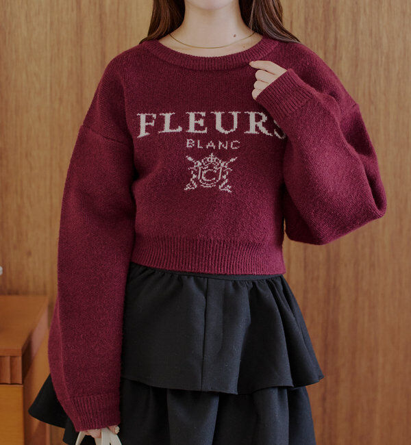  「襟取り外しロゴジャガードショートニット」|パーカー|