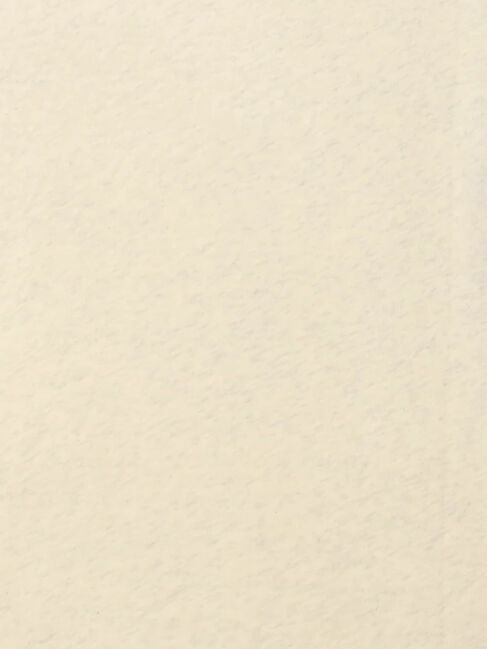 Samansa Mos2「【吸湿発熱】ベア天無地タートルネックインナー」|Tシャツ・カットソー|