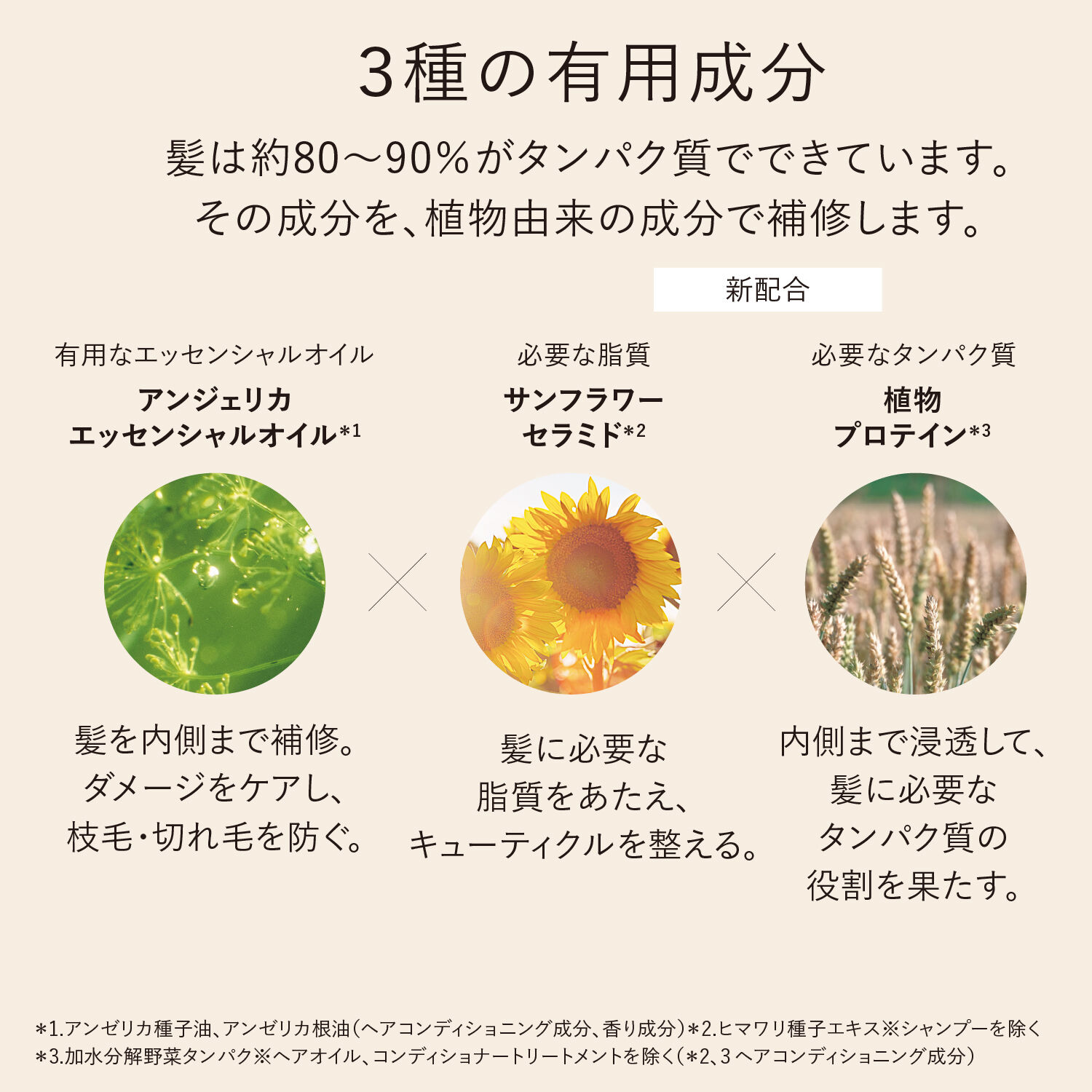 L&rsquo;OCCITANE「インテンシヴリペア シャンプー」|コンディショナー・トリートメント|