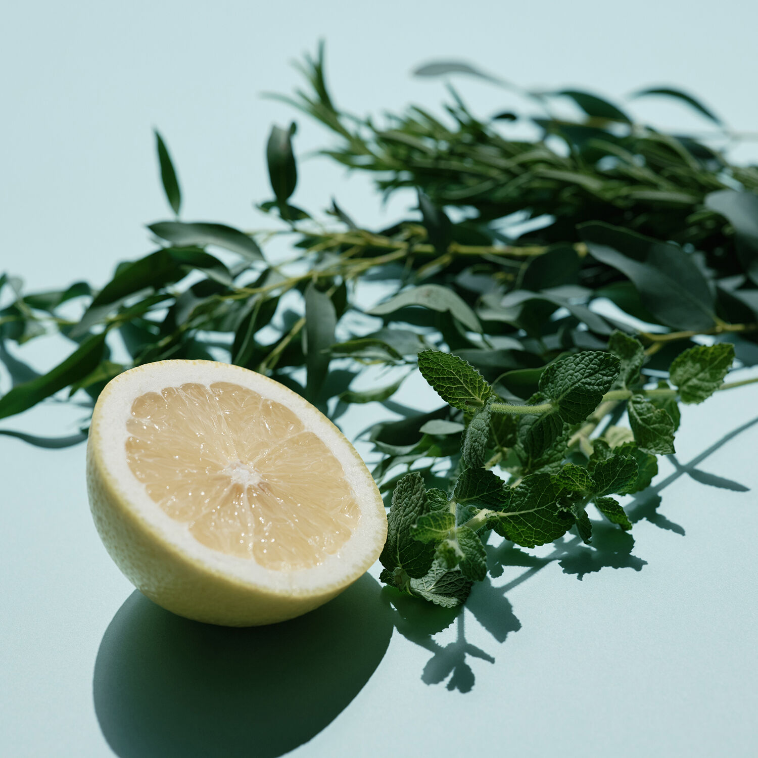 アットアロマ「頭痛ーるアロマ デイリーケア 10ml」|アロマ・ルームフレグランス|