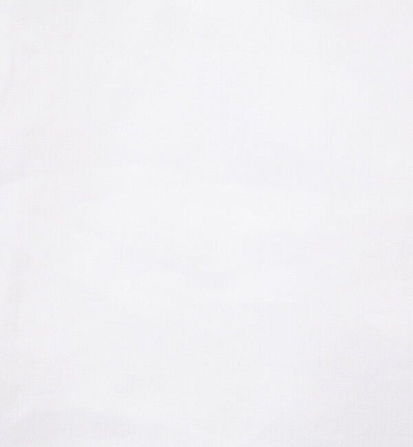 NOLLEY'S「◇【WEB限定カラーあり】シアーラミー袖バルーンブラウス」|シャツ・ブラウス|