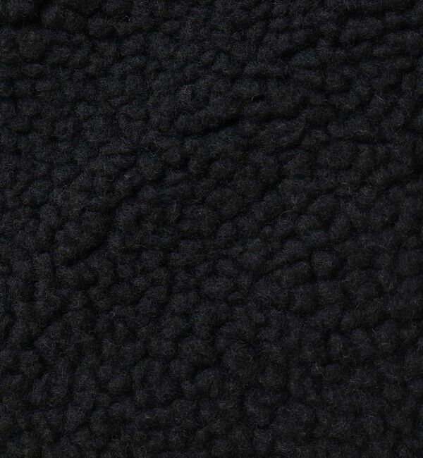 NOLLEY'S goodman「【TAION/タイオン】DOWN&times;BOA REVERSIBLE VEST 25AW」|ダウンベスト・ベスト|