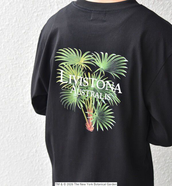 SHIPS any「【SHIPS any別注】NYBG: ボタニカル プリント リラックス Tシャツ (ロンT)◆」|Tシャツ・カットソー|