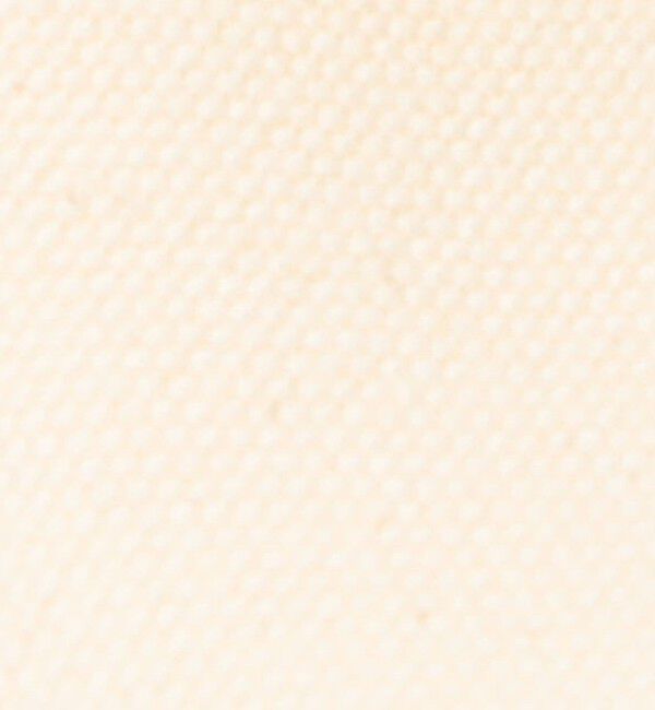 TOMORROWLAND GOODS「ADVENE MINI AGE コットンキャンバス バッグ」|ハンドバッグ|