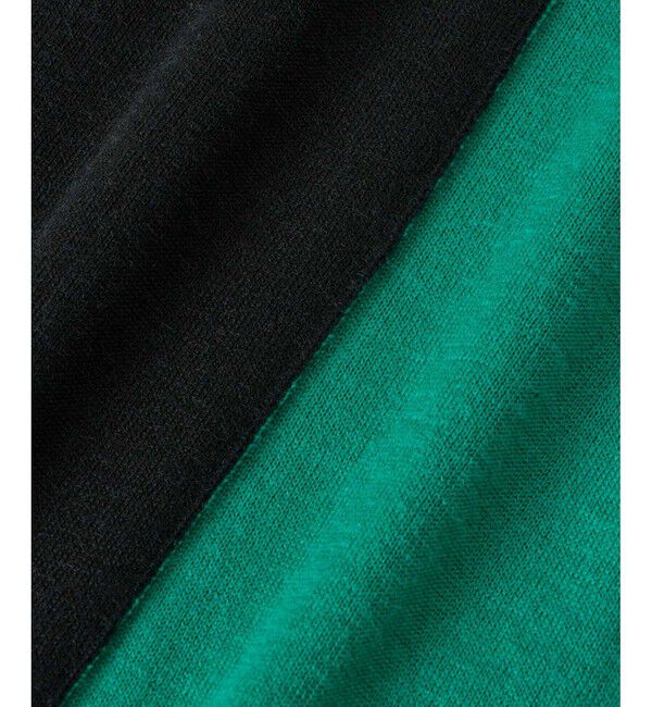 allureville「バイカラータートルプルオーバー」|ニット・セーター|