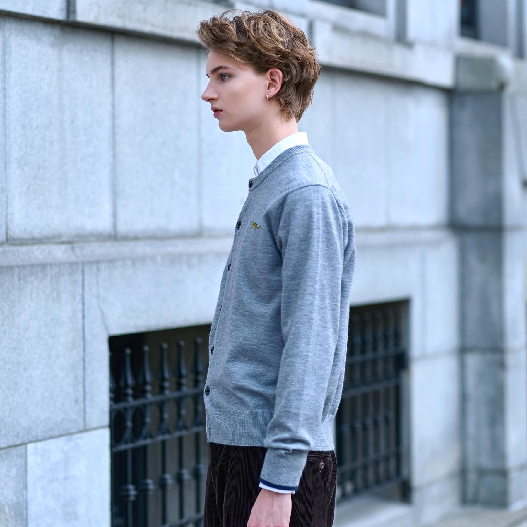 DRESSTERIOR「【Monomax11月号掲載】タイガーエンブロイダリー ラウンドネックカーディガン」|カーディガン|