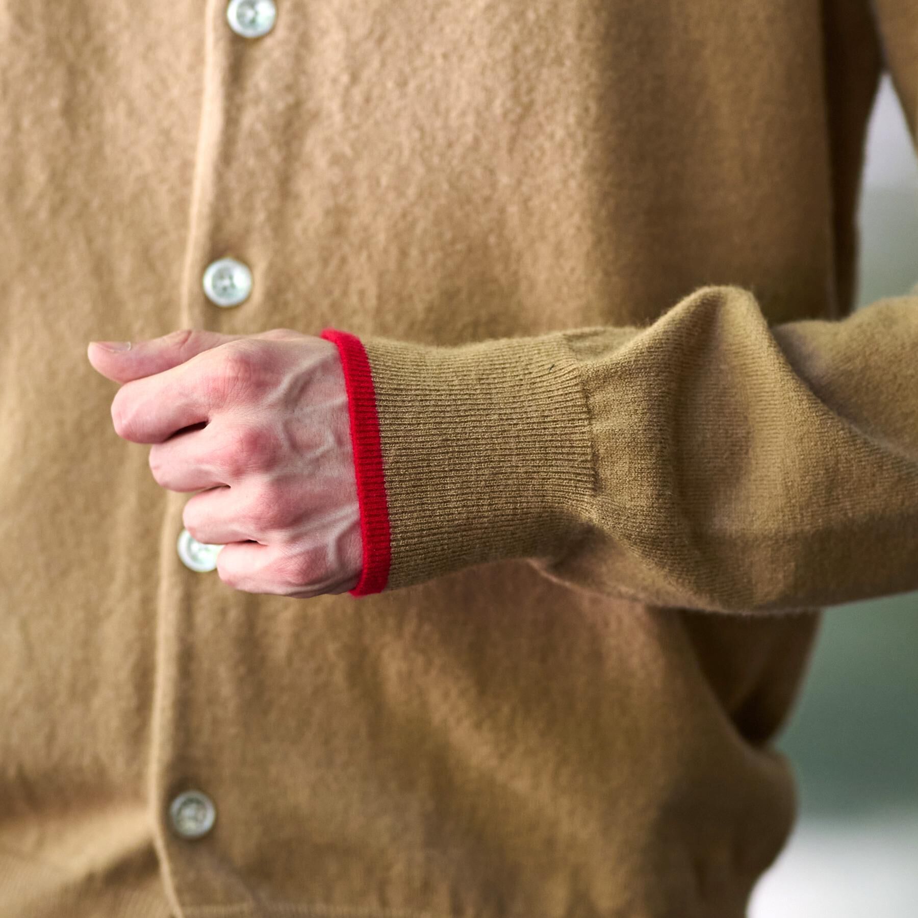 DRESSTERIOR「【Monomax11月号掲載】タイガーエンブロイダリー ラウンドネックカーディガン」|カーディガン|