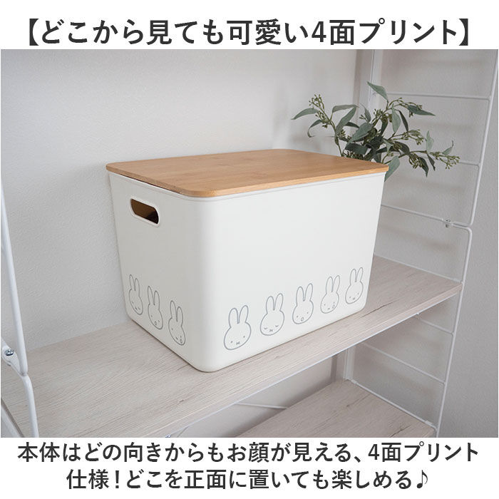 BACKYARD FAMILY「Dick Bruna ディックブルーナ 収納ケース キャラクター 通販 収納ボックス 収納」|その他|