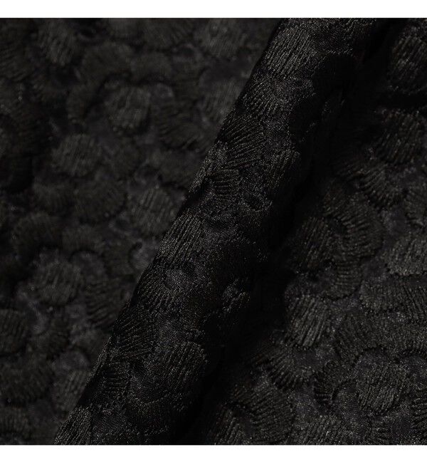 Demi-Luxe BEAMS 「オーガンジー エンブロイダリー フレアースカート」|スカート|