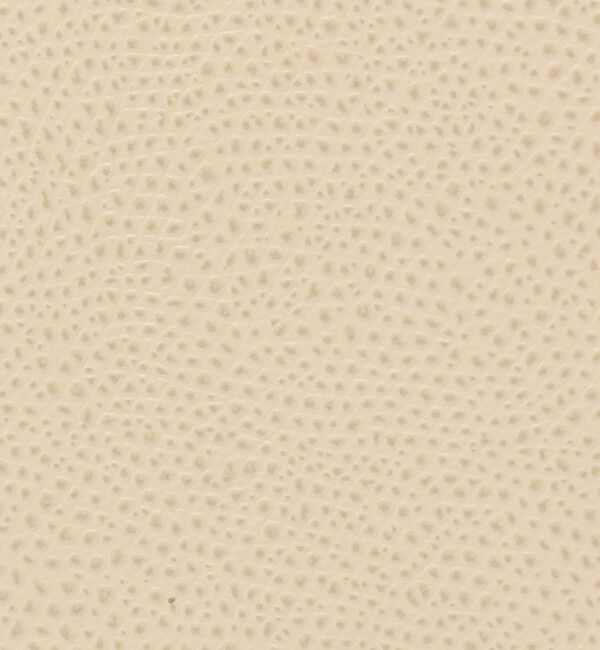 TOMORROWLAND GOODS「CARBOTTI LICIA バッグ」|ハンドバッグ|