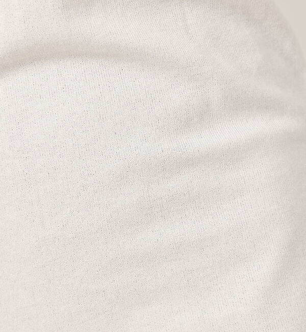 abahouse mavie「スパークナイロンクルーネックプルオーバー」|Tシャツ・カットソー|