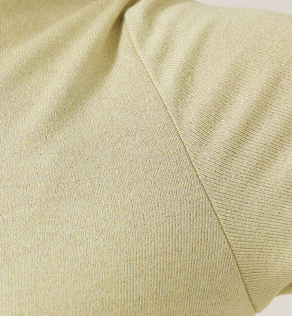 abahouse mavie「スパークナイロンクルーネックプルオーバー」|Tシャツ・カットソー|