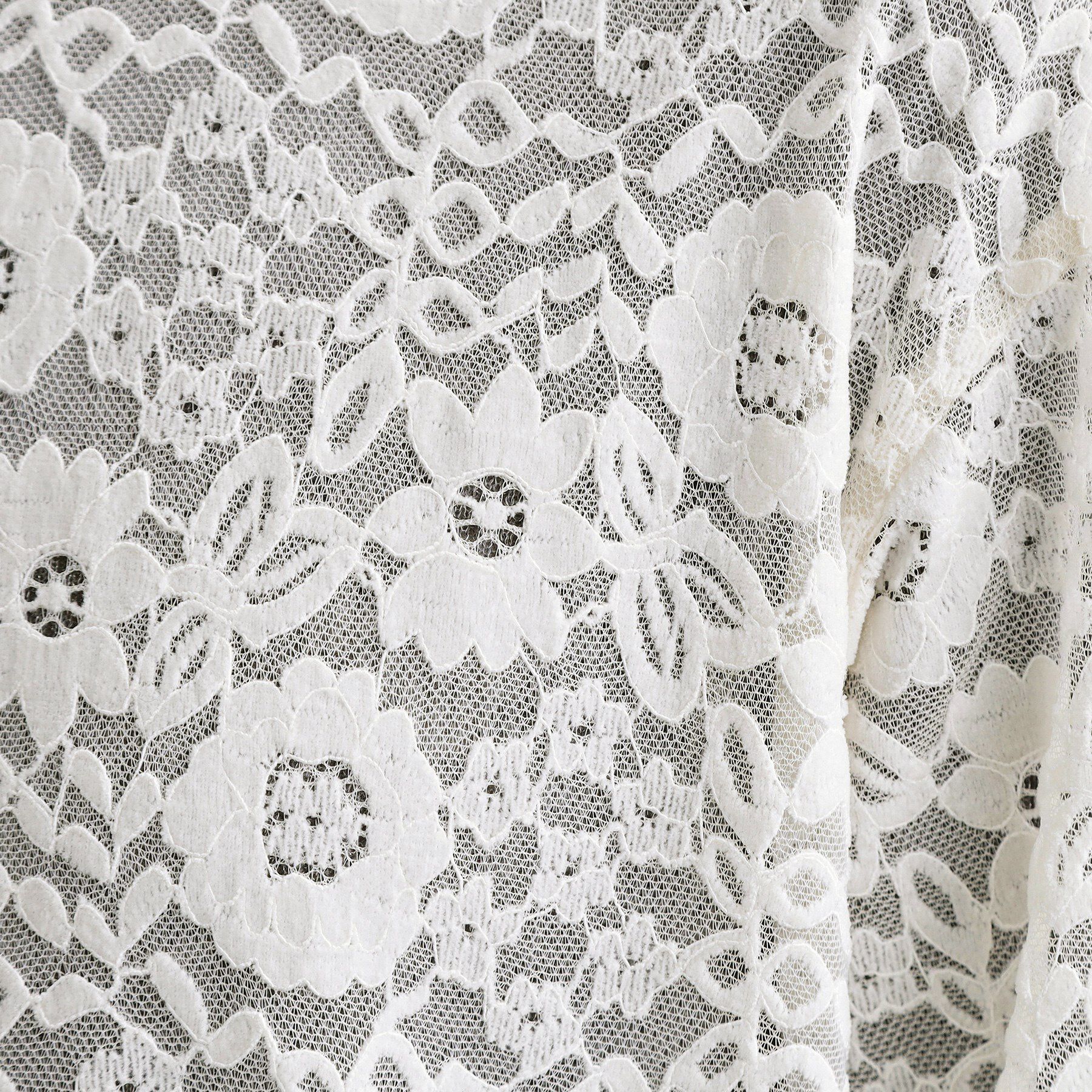 OPAQUE.CLIP「【es】フロッキーレースロングドレス」|ワンピース|