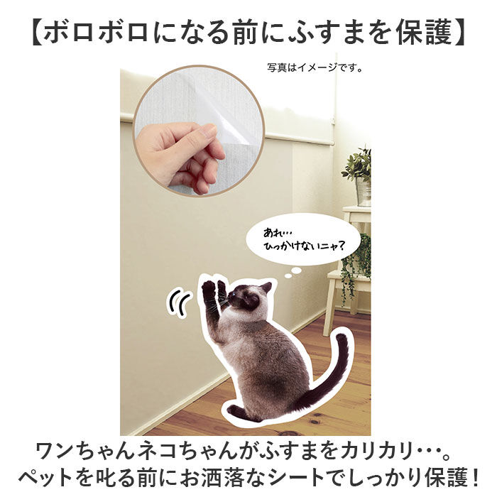 BACKYARD FAMILY「明和グラビア ツメ傷保護シート ふすま用 ペット 通販 日本製 保護シート リメイクシート」|その他|
