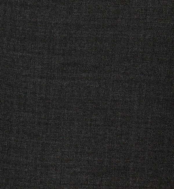 TOMORROWLAND BUYING WEAR「PT TORINO Gentleman Fit ポリエステルウール 1プリーツ スリムスラックス」|スラックス|