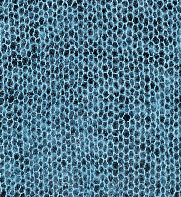 NOMINE「【iocus】袖ボリュームルーズニット」|ニット・セーター|