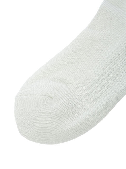  「■FRUIT OF THE LOOM タテロゴ3Pソックス」|その他|