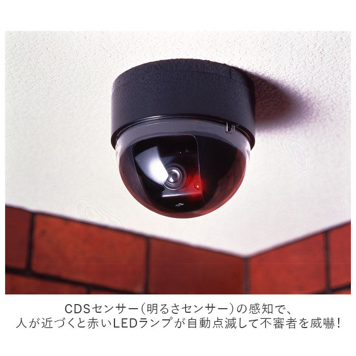 BACKYARD FAMILY「防犯カメラ ダミー 通販 家庭用 屋外 ワイヤレス 設置 監視 センサー ライト ドーム型 LED」|その他|