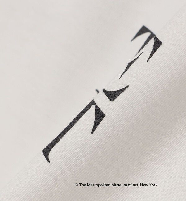 SHIPS Colors 「SHIPS Colors:THE MET コラボ プリントTシャツ」|Tシャツ・カットソー|