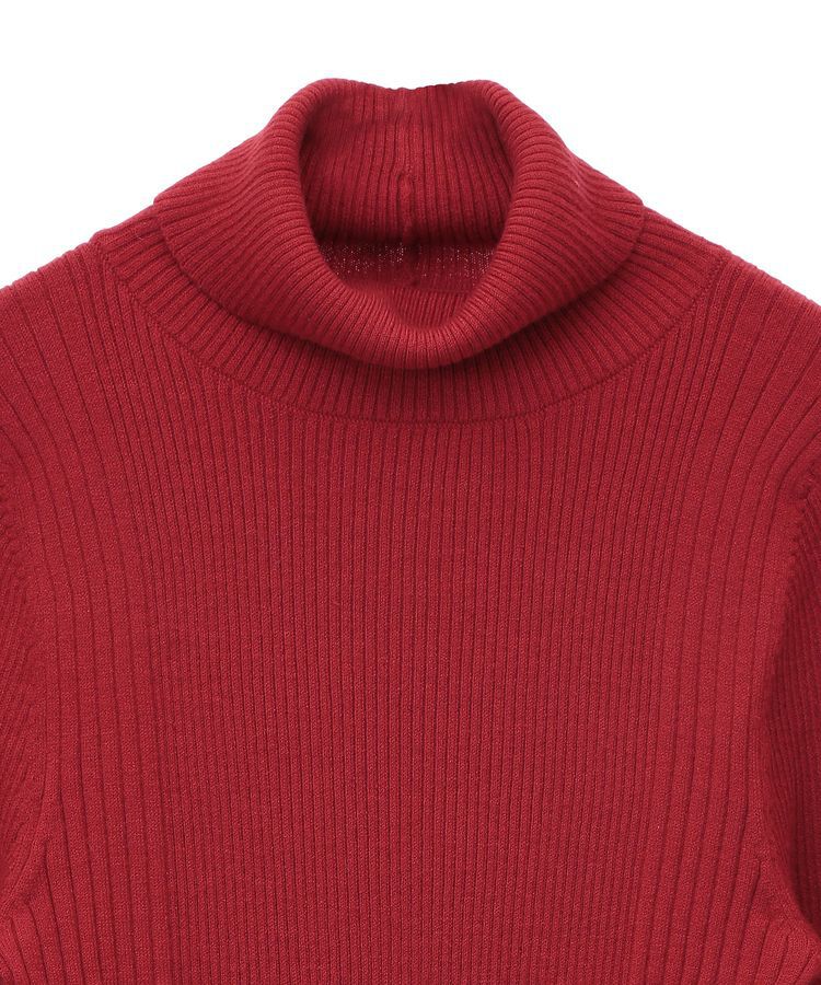 earth music&ecology「やわらかタッチタートルネックニットプルオーバー」|ニット・セーター|