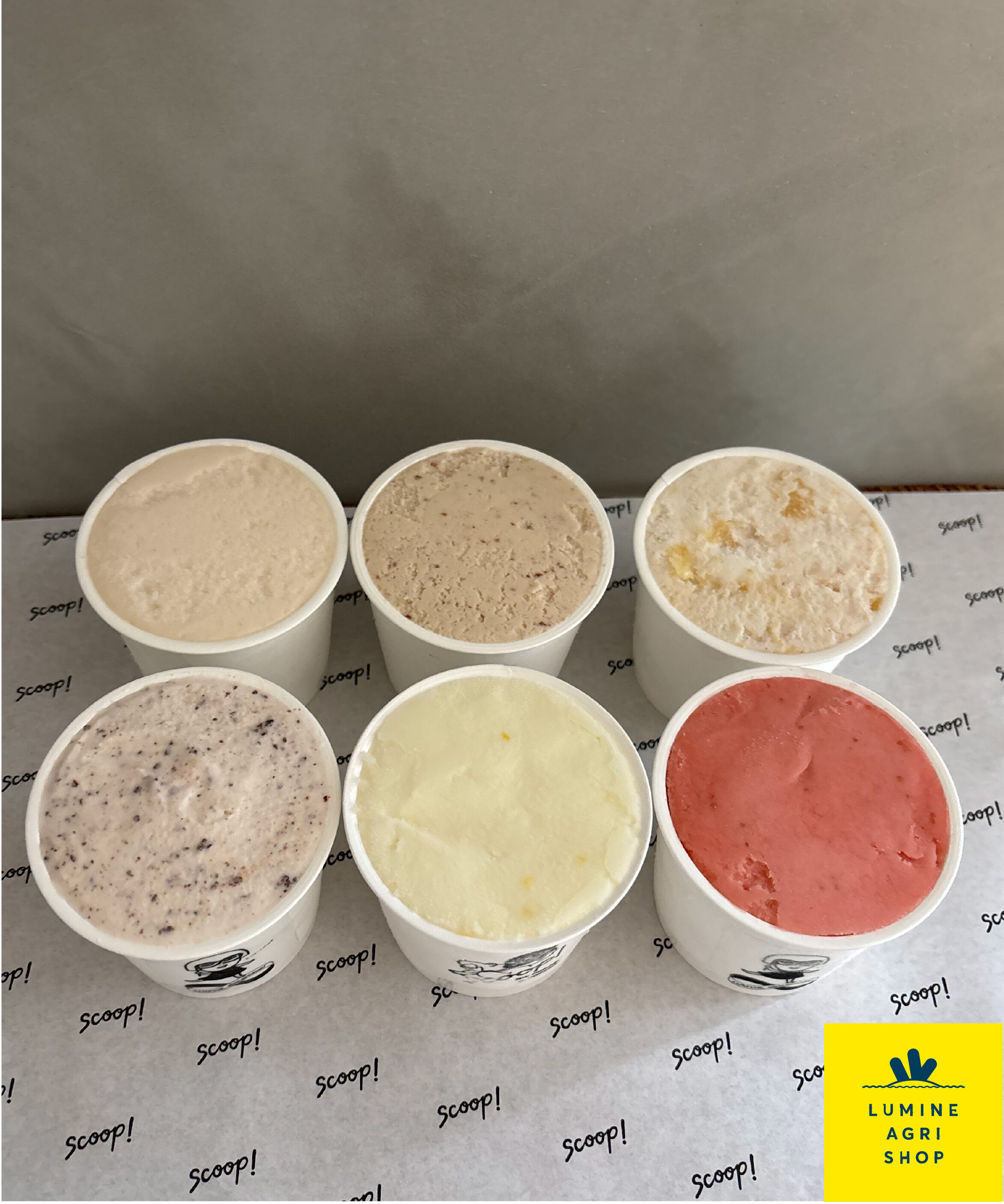 LUMINE AGRI SHOP「【エシカーニバルBOX】ジェラート6種詰め合わせ」|和洋菓子・アイス|