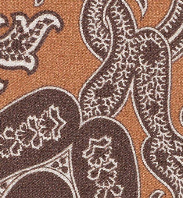 UNITED ARROWS「＜FRANCO BASSI＞ ペイズリー プリント ネクタイ」|ネクタイ・蝶ネクタイ|