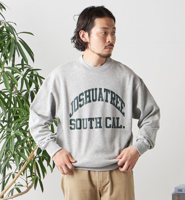 SHIPS any「【WEB限定】SHIPS any: NATIONAL PARK プリント スウェット 23AW◇」|スウェット・ジャージ|