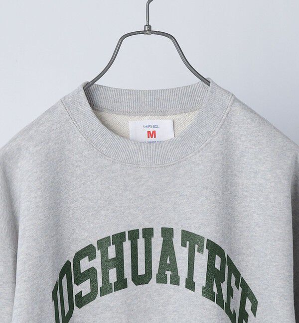 SHIPS any「【WEB限定】SHIPS any: NATIONAL PARK プリント スウェット 23AW◇」|スウェット・ジャージ|