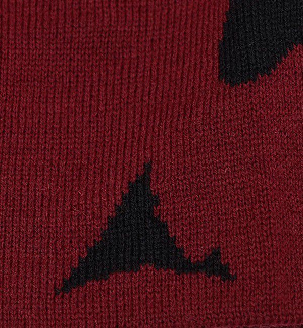 SHIPS「ROA: MAGMA WOOL BEANIE」|ニット帽|