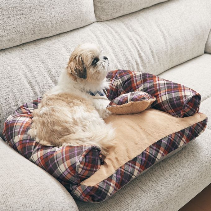 BACKYARD FAMILY「ペットベッド ふわふわ 楽天 小型犬 ベッド 犬用 猫用 あご のせ アンファンス EF-PT06」|その他|