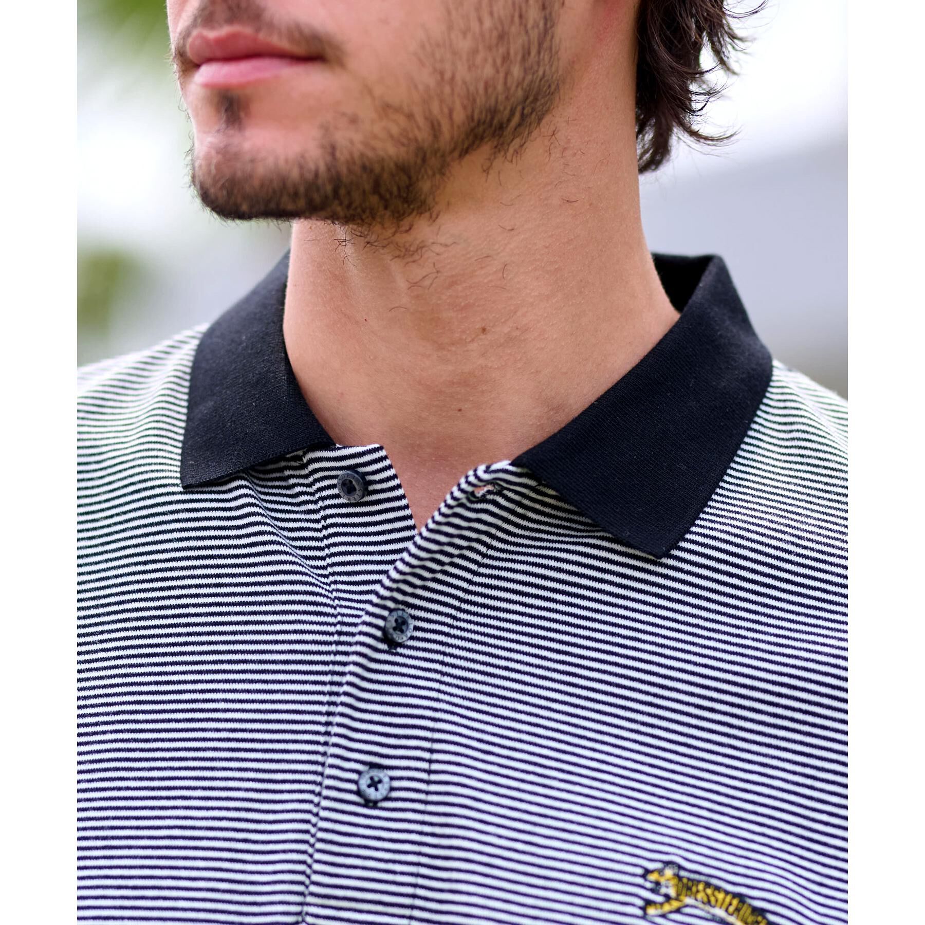 DRESSTERIOR「ドレステリア タイガーボーダーポロシャツ」|ポロシャツ|