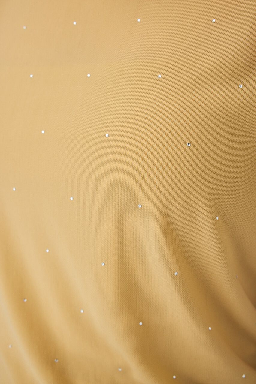 MOUSSY「RHINESTONE SHEER Tシャツ」|Tシャツ・カットソー|