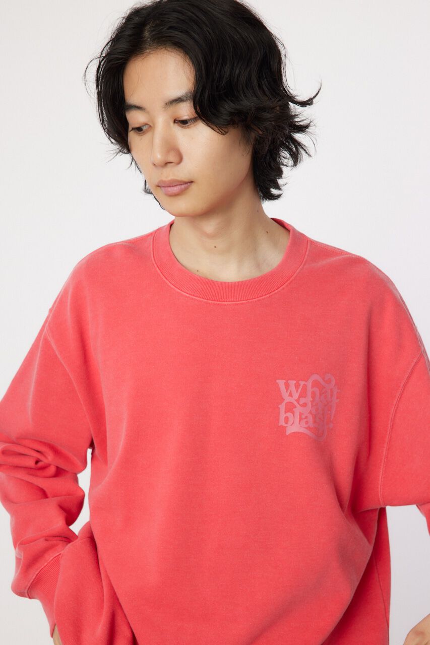 RODEO CROWNS「ピグメントロゴスウェット」|パーカー|