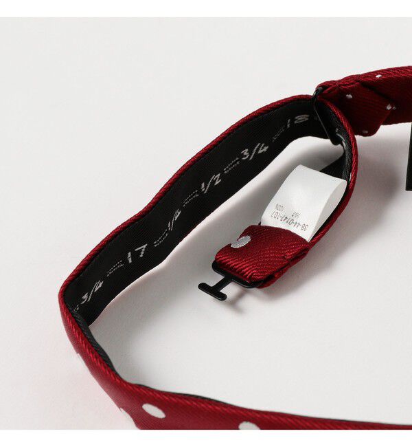 BEAMS PLUS「Silk Bow Tie Dot」|ネクタイ・蝶ネクタイ|