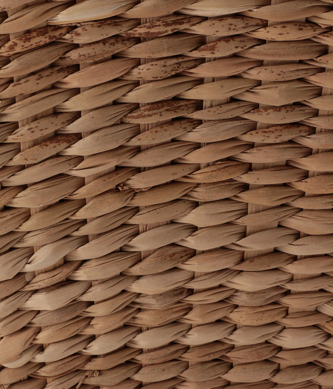 SALON adam et rope'「【COTTO】BASKET M」|かごバッグ|