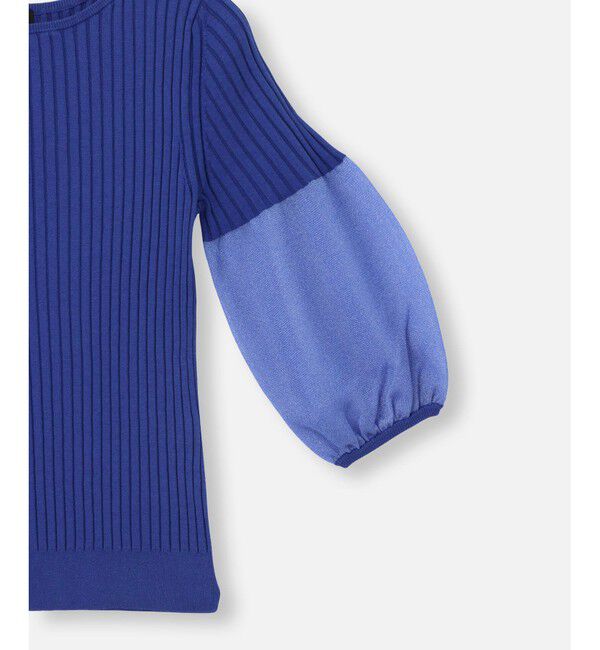 allureville「シアーランタンスリーブ プルオーバー」|その他|