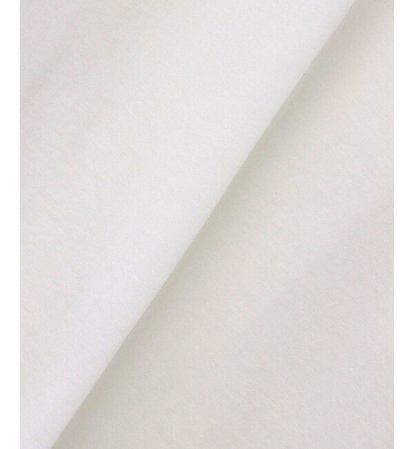 allureville「シアー天竺ロンTEE」|Tシャツ・カットソー|