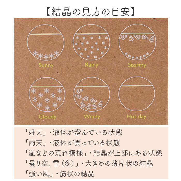 BACKYARD FAMILY「ムーミン ストームグラス 通販 気象計 天気予報 サイエンス 科学 天気 天候 気温 オブジェ」|その他|