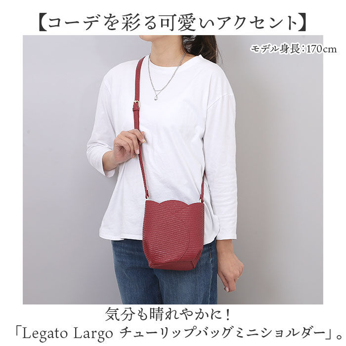 BACKYARD FAMILY「レガートラルゴ ショルダーバッグ Legato Largo LG-F3096 通販」|ショルダー・メッセンジャー|