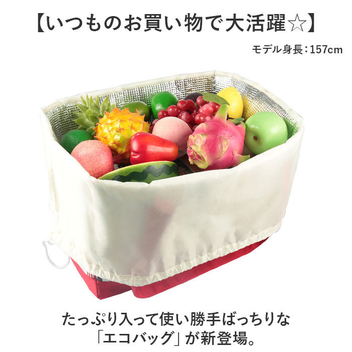 BACKYARD FAMILY「エコバッグ エコバック 大容量 保冷 保温 通販 ショッピングバッグ ショッピングバック」|エコバッグ|