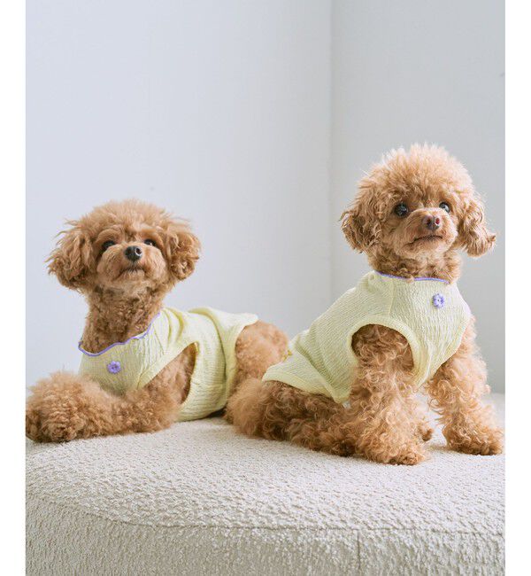 ROPE PICNIC PASSAGE「【DOG】パイピングタンクトップ」|その他|